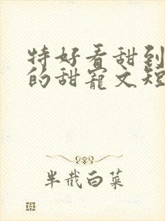 特好看甜到爆炸的甜宠文短篇