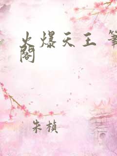 火爆天王 笔趣阁
