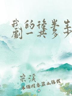 我的后半生电视剧一共多少集