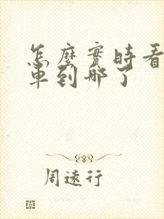 怎么实时看公交车到哪了