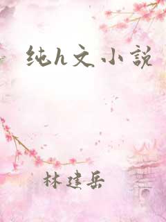 纯h文小说