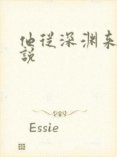 他从深渊来 小说