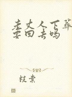 老丈人下葬女婿要回去吗