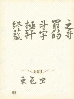 终极斗罗之成为蓝轩宇的哥哥 娜再见啦