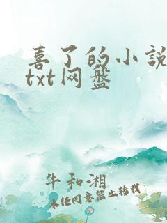 喜了的小说合集txt网盘