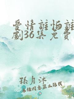 爱情谁怕谁电视剧36集免费观看