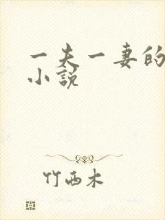 一夫一妻的玄幻小说