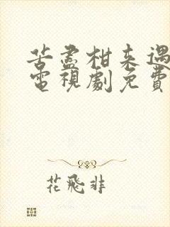 苦尽柑来遇见你电视剧免费观看在线播放