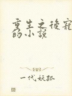 重生之后宠老公的小说