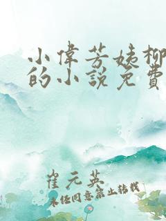 小伟芳姨柳娇娇的小说免费阅读