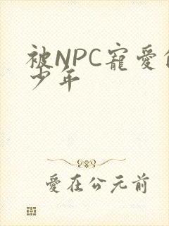 被NPC宠爱的少年