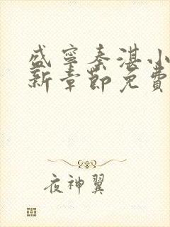 盛宁秦湛小说最新章节免费阅读