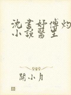 沈书妤傅灼抖音小说医生