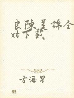 良陈美锦全本txt下载