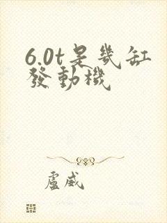 6.0t是几缸发动机