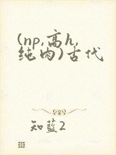 (np,高h,纯肉)古代