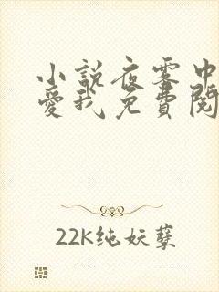 小说夜雾中无人爱我免费阅读