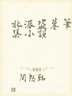 北派盗墓笔记全集小说