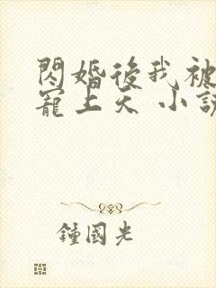 闪婚后我被大佬宠上天 小说