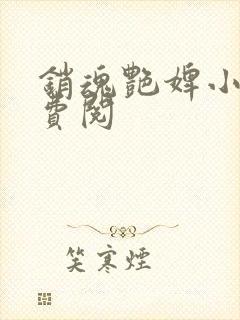 销魂艳婢小说免费阅