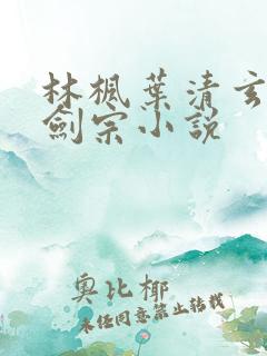 林枫叶清玄神霄剑宗小说