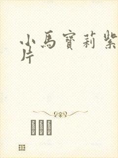 小马宝莉紫悦卡片