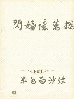 闪婚亿万总裁后