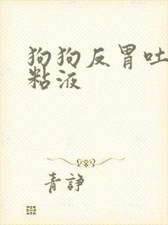 狗狗反胃吐白色粘液