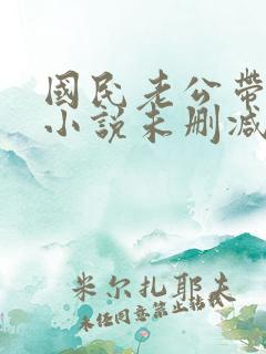 国民老公带回家小说未删减