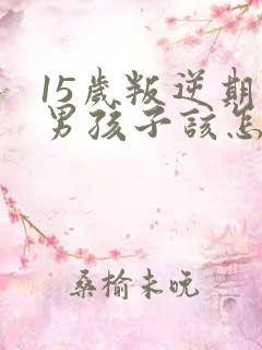 15岁叛逆期的男孩子该怎样去沟通教育