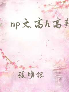 np文高h高辣