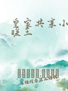 皇家共享小公主暖玉