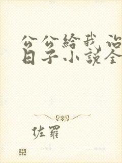 公公给我治病的日子小说全文阅读