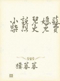 小说儿媳苏玥干柴烈火免费阅读