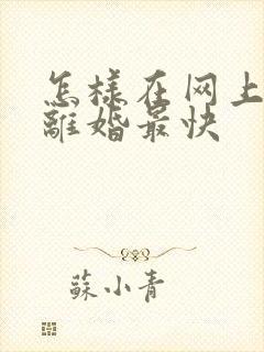 怎样在网上起诉离婚最快