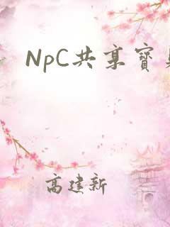 NpC共享宝贝