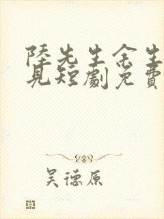 陆先生余生不相见短剧免费播放