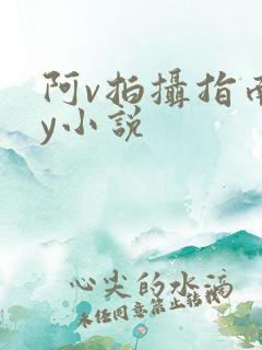 阿v拍摄指南by小说