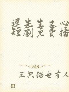 迟先生又心动了短剧免费播放