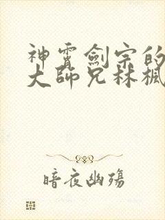 神霄剑宗的废材大师兄林枫