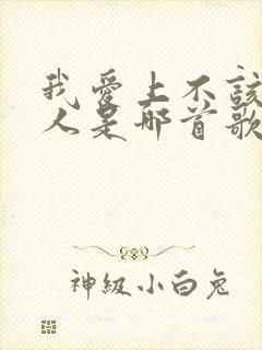 我爱上不该爱的人是哪首歌的歌词