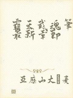 霸天武魂笔趣阁最新章节