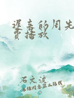 迟来的周先生免费播放