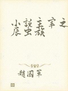 小说主宰之心林辰虫族