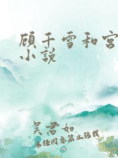 顾千雪和宫凌沨小说