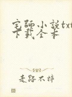 宅师小说txt下载全本
