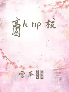 高h np 校园