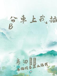 公车上我插上骚B