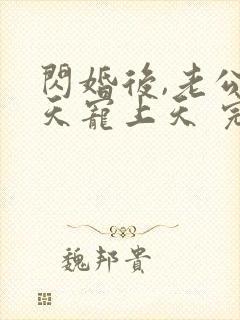 闪婚后,老公每天宠上天 完结