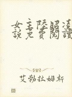 女主陆昭凌的小说免费阅读